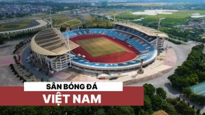 Việt Nam có bao nhiêu sân bóng đá